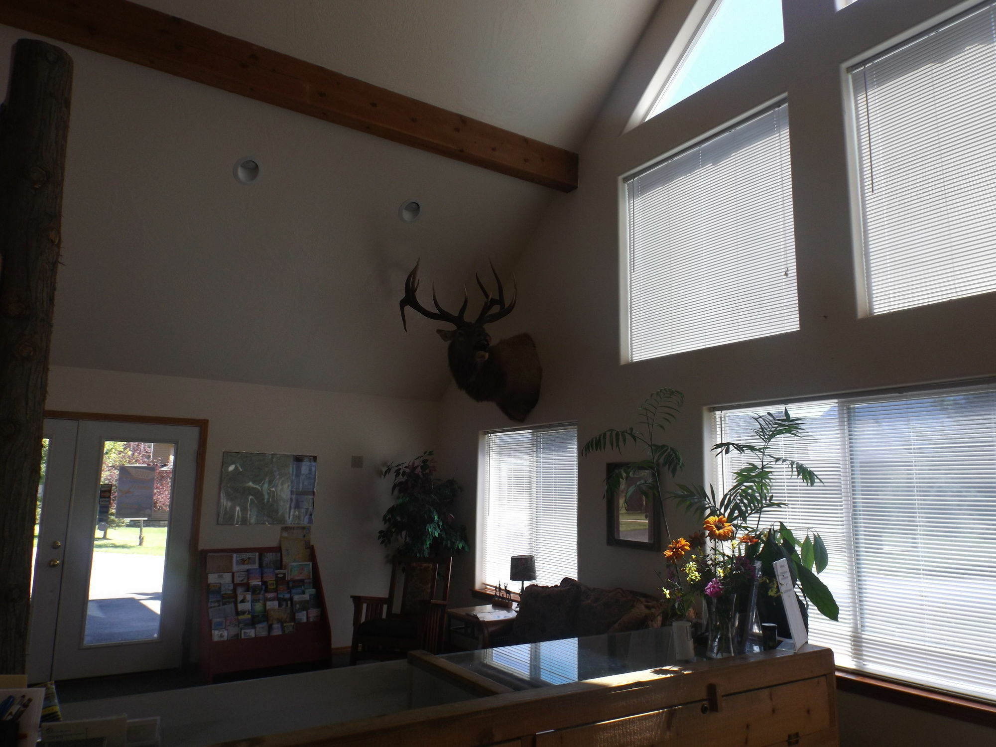 Clark Fork Lodge Bagian luar foto
