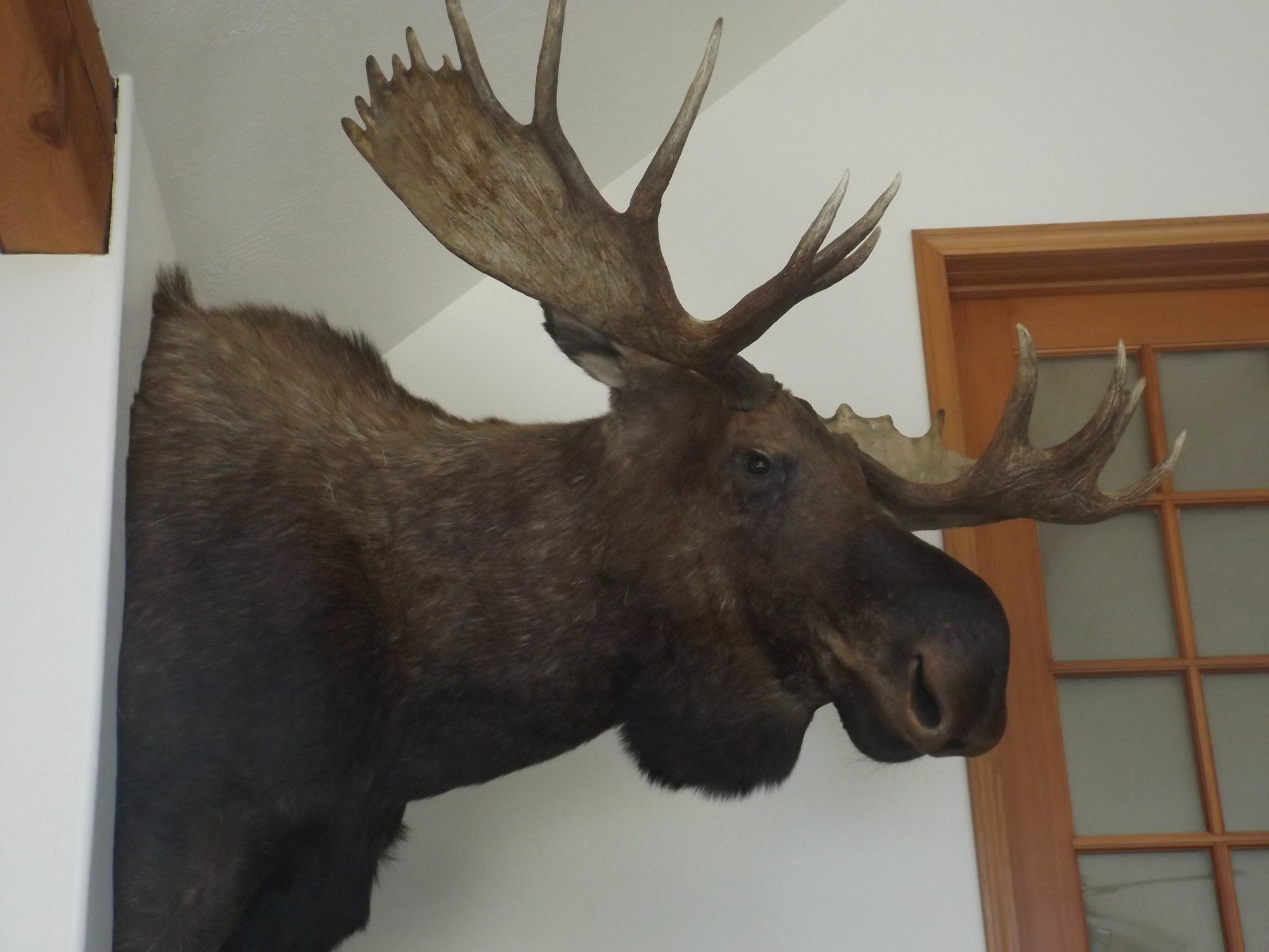 Clark Fork Lodge Bagian luar foto